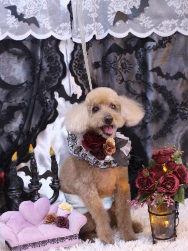 20231007こたろうくん